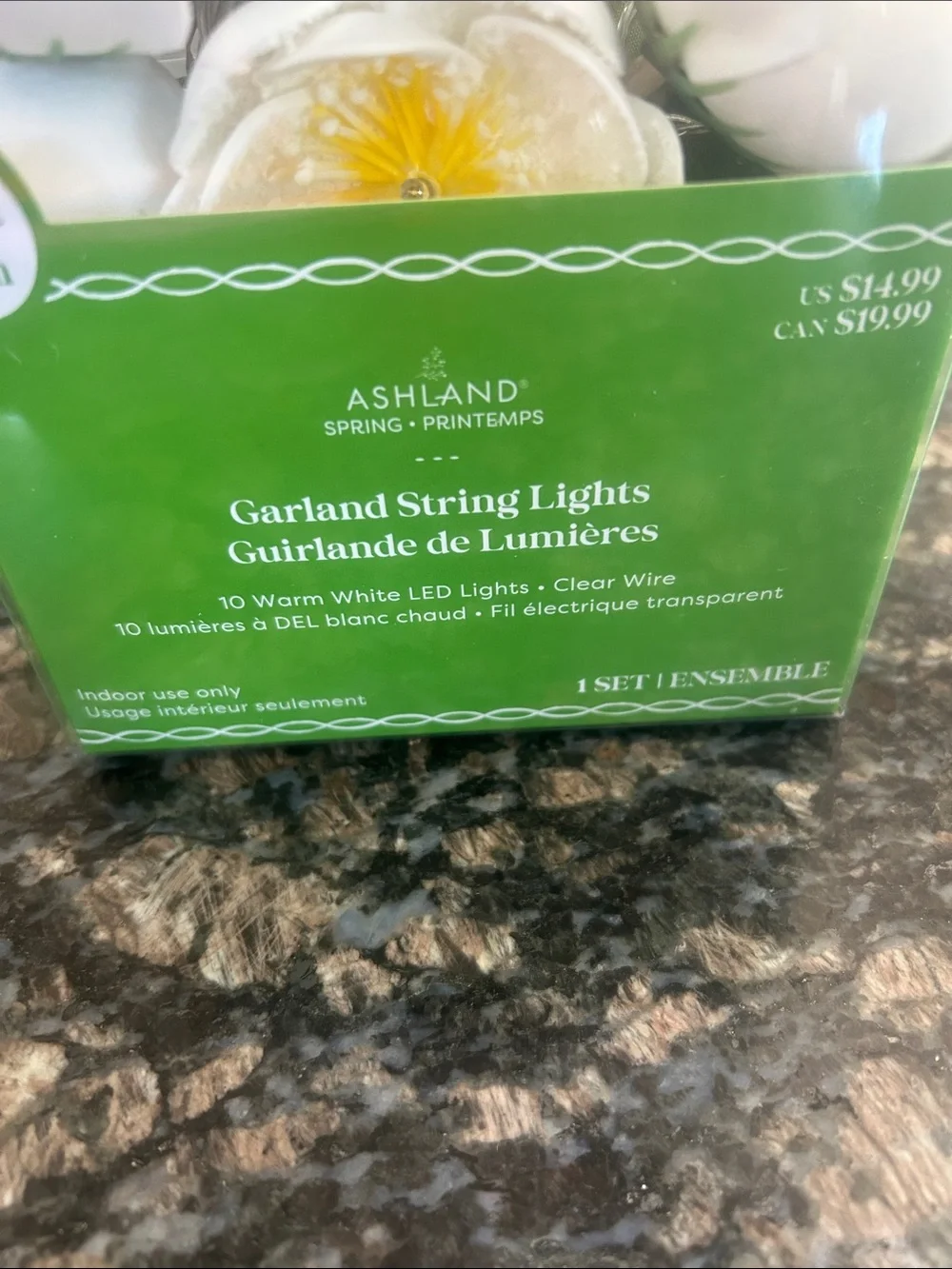 ASHLAND SPRING PRINTEMPS GARLAND STRING LIGHTS 4.4 FT NWT